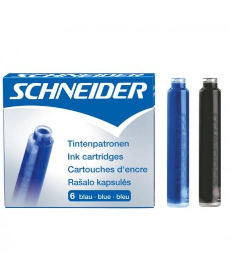 ΑΜΠΟΥΛΕΣ SCHNEIDER ΚΟΥΤΙ 6ΤΕΜ. ΜΠΛΕ/ΜΑΥΡΟ