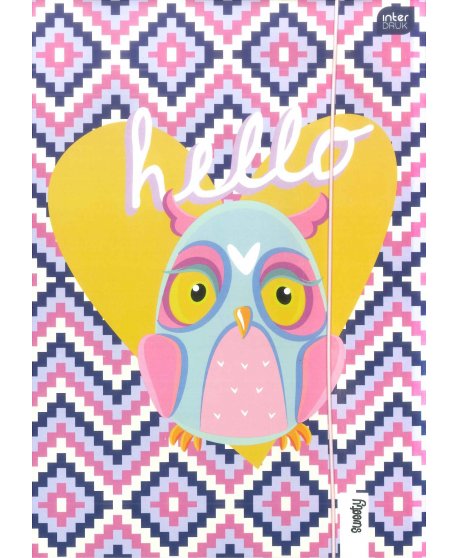 ΦΑΚΕΛΟΣ ΧΑΡΤΙΝΟΣ Α4 ΜΕ ΛΑΣΤΙΧΟ INTERDRUK OWL