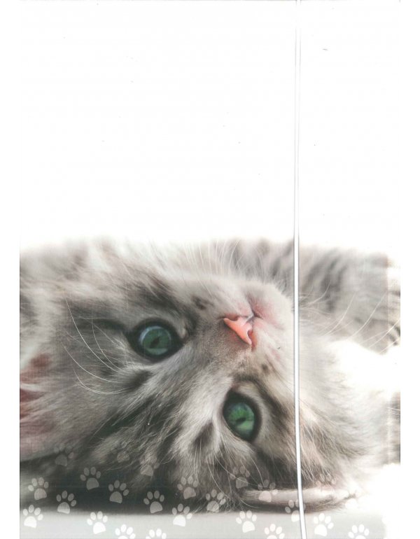 ΝΤΟΣΙΕ ΧΑΡΤΙΝΟΣ A4 ΜΕ ΛΑΣΤΙΧΟ INTERDRUK ΚΙΤΤΥ