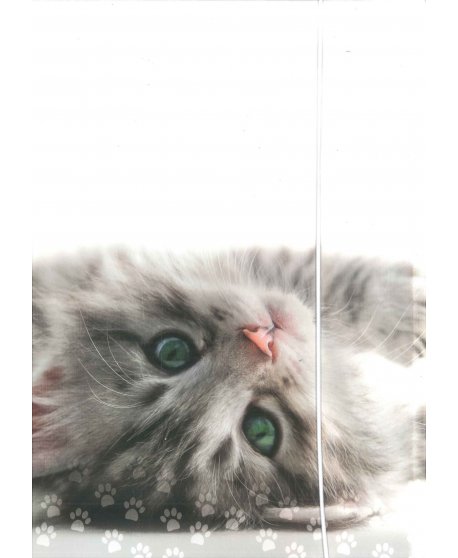 ΝΤΟΣΙΕ ΧΑΡΤΙΝΟΣ A4 ΜΕ ΛΑΣΤΙΧΟ INTERDRUK ΚΙΤΤΥ