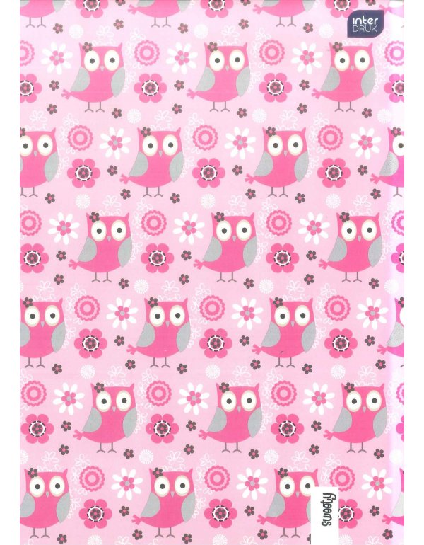 ΝΤΟΣΙΕ ΧΑΡΤΙΝΟΣ A4 ΜΕ ΛΑΣΤΙΧΟ INTERDRUK MINI OWLS