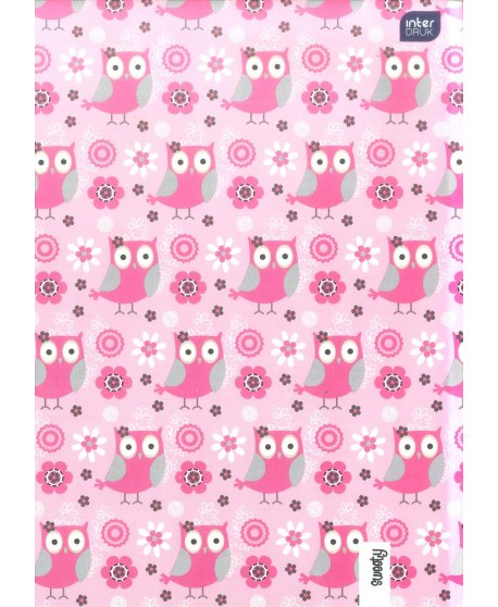 ΝΤΟΣΙΕ ΧΑΡΤΙΝΟΣ A4 ΜΕ ΛΑΣΤΙΧΟ INTERDRUK MINI OWLS