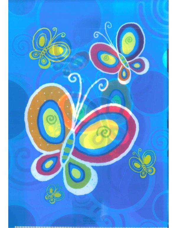 ΖΕΛΑΤΙΝΑ Γ ΧΟΝΤΡΗ BUTTERFLIES