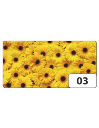 ΧΑΡΤΟΝΙ FOLIA 50x70cm 270gr ΖΕΡΜΠΕΡΕΣ