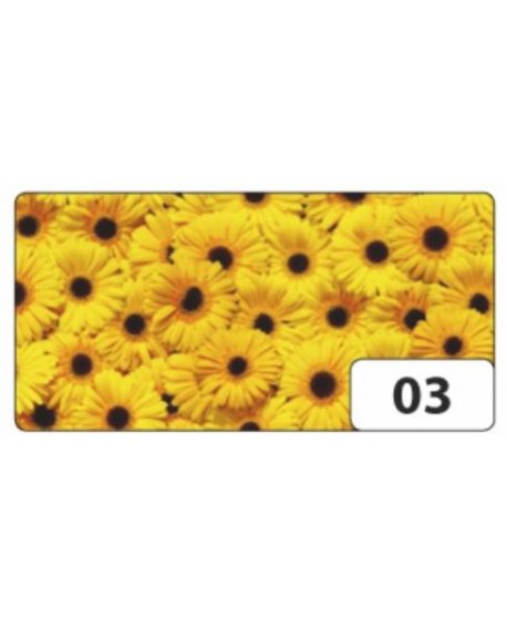 ΧΑΡΤΟΝΙ FOLIA 50x70cm 270gr ΖΕΡΜΠΕΡΕΣ