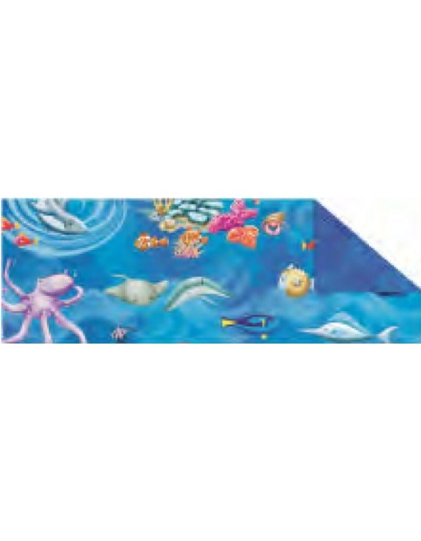 ΧΑΡΤΟΝΙΑ URSUS 50x68/300gr ΒΥΘΟΣ ΨΑΡΙΑ 