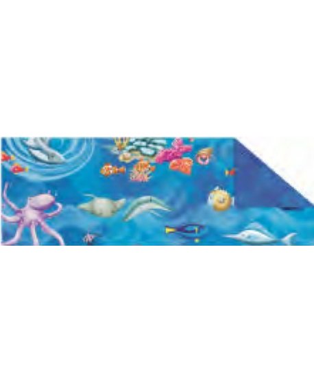 ΧΑΡΤΟΝΙΑ URSUS 50x68/300gr ΒΥΘΟΣ ΨΑΡΙΑ 