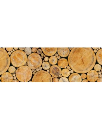 ΧΑΡΤΟΝΙ URSUS 50x68/300gr ΔΙΣΚΟΙ ΔΕΝΤΡΩΝ