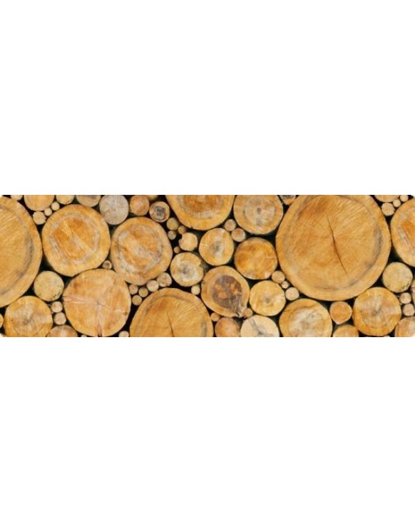 ΧΑΡΤΟΝΙ URSUS 50x68/300gr ΔΙΣΚΟΙ ΔΕΝΤΡΩΝ