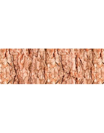 ΧΑΡΤΟΝΙ URSUS 50x68/300gr ΚΟΡΜΟΣ ΔΕΝΤΡΩΝ