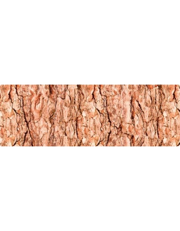 ΧΑΡΤΟΝΙ URSUS 50x68/300gr ΚΟΡΜΟΣ ΔΕΝΤΡΩΝ