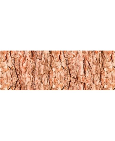 ΧΑΡΤΟΝΙ URSUS 50x68/300gr ΚΟΡΜΟΣ ΔΕΝΤΡΩΝ
