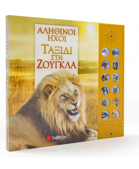 ΤΑΞΙΔΙ ΣΤΗ ΖΟΥΓΚΛΑ - ΑΛΗΘΙΝΟΙ ΗΧΟΙ