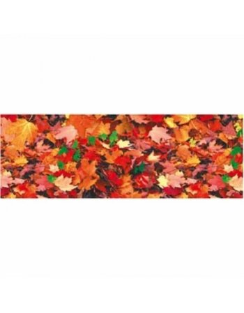 ΦΩΤΟΚΑΡΤΟΝ 50Χ70cm ΦΥΛΛΑ