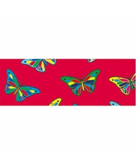 ΦΩΤΟΚΑΡΤΟΝ 50Χ70cm ΠΕΤΑΛΟΥΔΕΣ