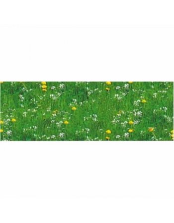 ΦΩΤΟΚΑΡΤΟΝ 50Χ70cm  ΛΕΙΒΑΔΙ