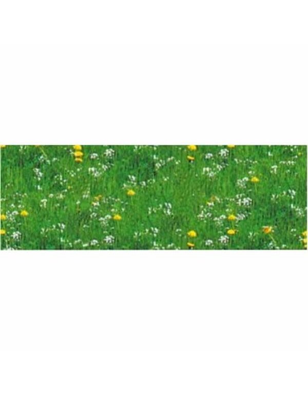 ΦΩΤΟΚΑΡΤΟΝ 50Χ70cm  ΛΕΙΒΑΔΙ