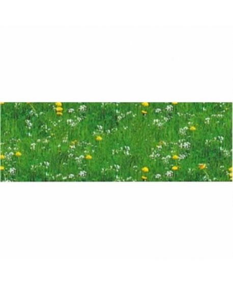 ΦΩΤΟΚΑΡΤΟΝ 50Χ70cm  ΛΕΙΒΑΔΙ