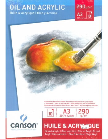 ΜΠΛΟΚ CANSON INTRO OIL & ACRYLIC A3 290gr 10φ