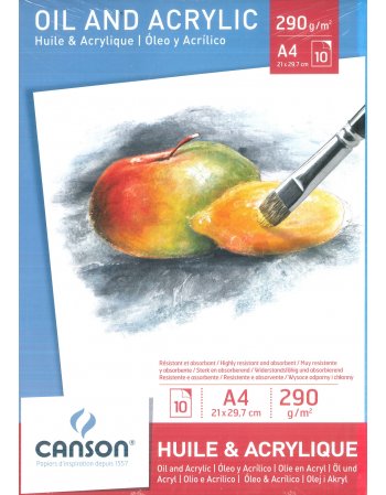 ΜΠΛΟΚ CANSON INTRO OIL & ACRYLIC A4 290gr 10φ