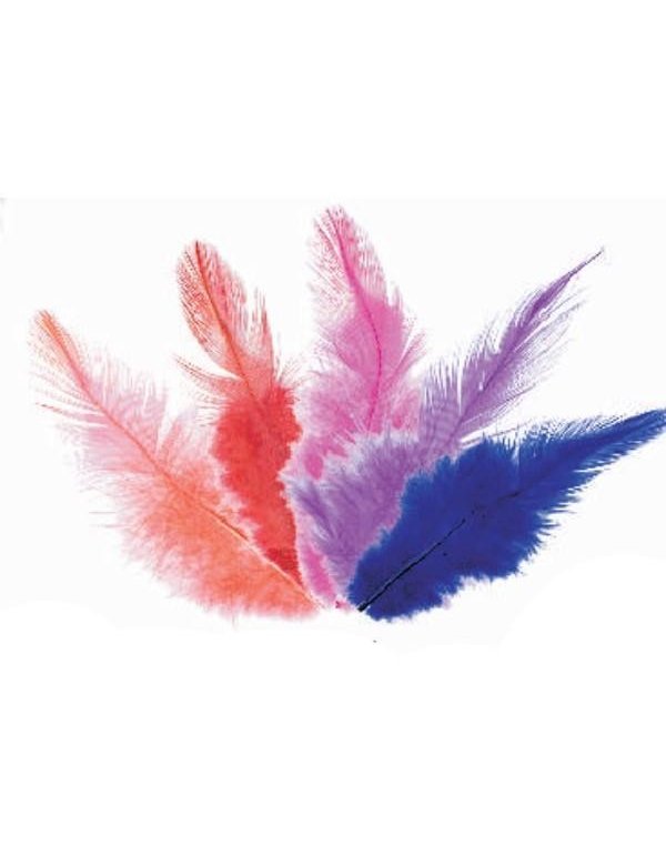 ΠΟΥΠΟΥΛΑ 10-12CM /24ΤEM COCK