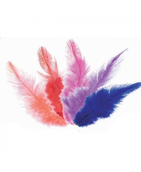 ΠΟΥΠΟΥΛΑ 10-12CM /24ΤEM COCK