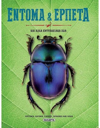 ΕΝΤΟΜΑ ΚΑΙ ΕΡΠΕΤΑ ΚΑΙ ΑΛΛΑ ΕΝΤΥΠΩΣΙΑΚΑ ΖΩΑ