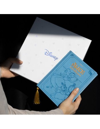 GRUPO ERIK PREMIUM ΤΕΤΡΑΔΙΟ Α5 DISNEY Η ΑΛΙΚΗ ΣΤΗ ΧΩΡΑ...