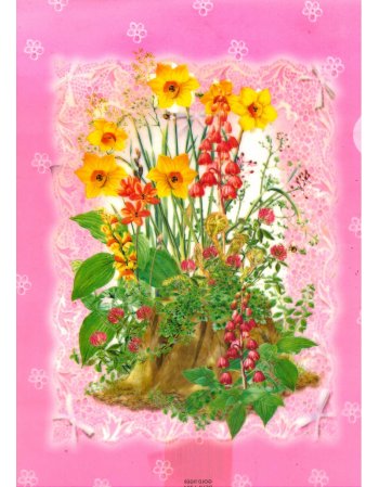 ΖΕΛΑΤΙΝΑ Γ ΧΟΝΤΡΗ ΜΠΟΥΚΕΤΟ