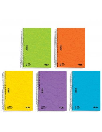SKAG ΘΕΜΑΤΙΚΑ ΤΕΤΡΑΔΙΑ BASIC 17X25 5ΘΕΜ 80ΓΡ N.8005