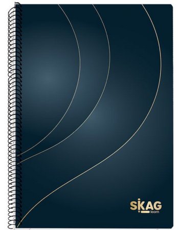 ΤΕΤΡΑΔΙΟ ΣΠΙΡΑΛ SKAG GOLD & SILVER  A4 2 ΘΕΜΑΤΑ  Ν.9352