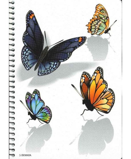 ΤΕΤΡΑΔΙΟ ΣΠΙΡΑΛ 5 ΘΕΜΑΤΩΝ 17Χ25